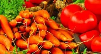 Ministro alemão pede proibição a rótulos enganosos de produtos vegetarianos