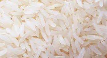 Arroz/Cepea: Com poucos agentes ativos, indicador tem ligeira queda