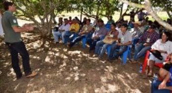 Dia de campo do Hortifruti Legal destacará tecnologias produtivas em hortifrutigranjeiros