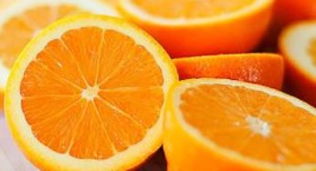 Volumes exportados de suco de laranja recuaram 16% nos oito primeiros meses da safra