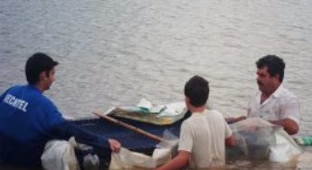 Emater/RS-Ascar incentiva a produção de peixes em gaiolas em Rio Pardo