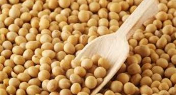 Liquidação derruba preço da soja – Análise Agrolink