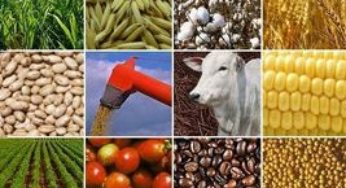 Preços globais de alimentos sobem em fevereiro, diz FAO