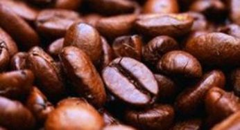 Abertas as inscrições para XII Ciclo de Palestras em Cafeicultura