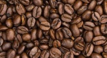 Safra de café robusta está comprometida no Espírito Santo