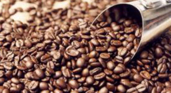 Café/Cepea: Com alta externa, cotações do arábica reagem no BR