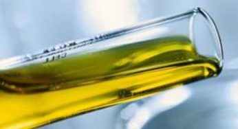 Etanol/Cepea: Ano se inicia com baixa liquidez e ligeiras oscilações de preços