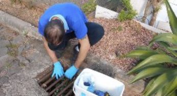 Projeto regulamenta sistema de controle de pragas urbanas