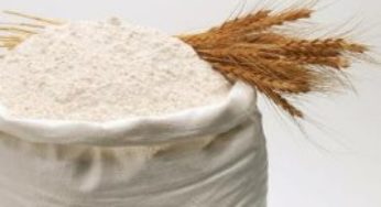 Trigo: Segundo ano de dificuldades força fechamento de moinhos