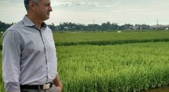 Abertura da Colheita do Arroz vai valorizar trabalho do Irga