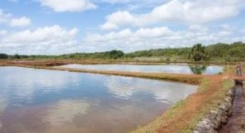 Governo de Alagoas distribuiu 2,4 milhões de alevinos em 2016