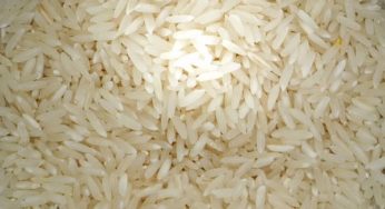 Arroz: Queda nesta começo de mês já é de quase 6%, aponta Cepea