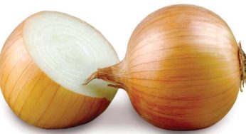 Entidades do agronegócio debatem a crise da cebola em SC