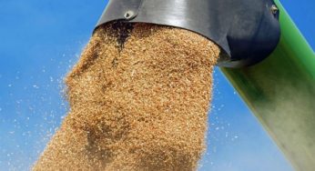Preços dos alimentos atingem nível mais alto desde fevereiro de 2015